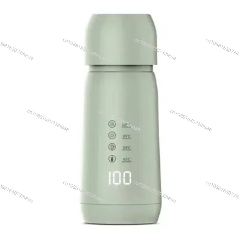 Portable Mini Electric Kettle Stainless Steel Temperature Control Insulated Cup 300W Heating Power