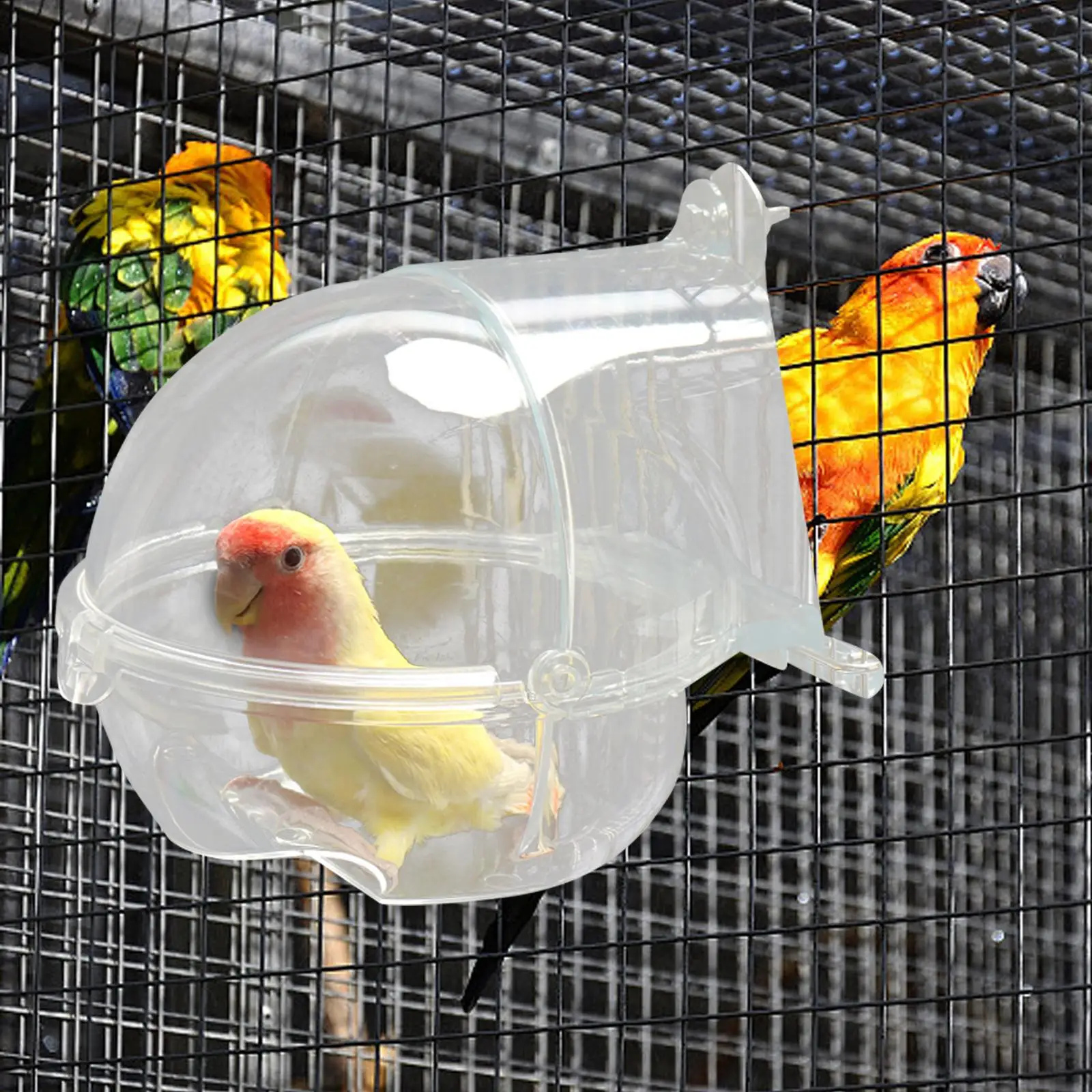 Clear Bird Bath Box Bird Bathing Tub Cage Accessory Supplies for Small Birds Canaries Finches Parrot Lightweight Durable