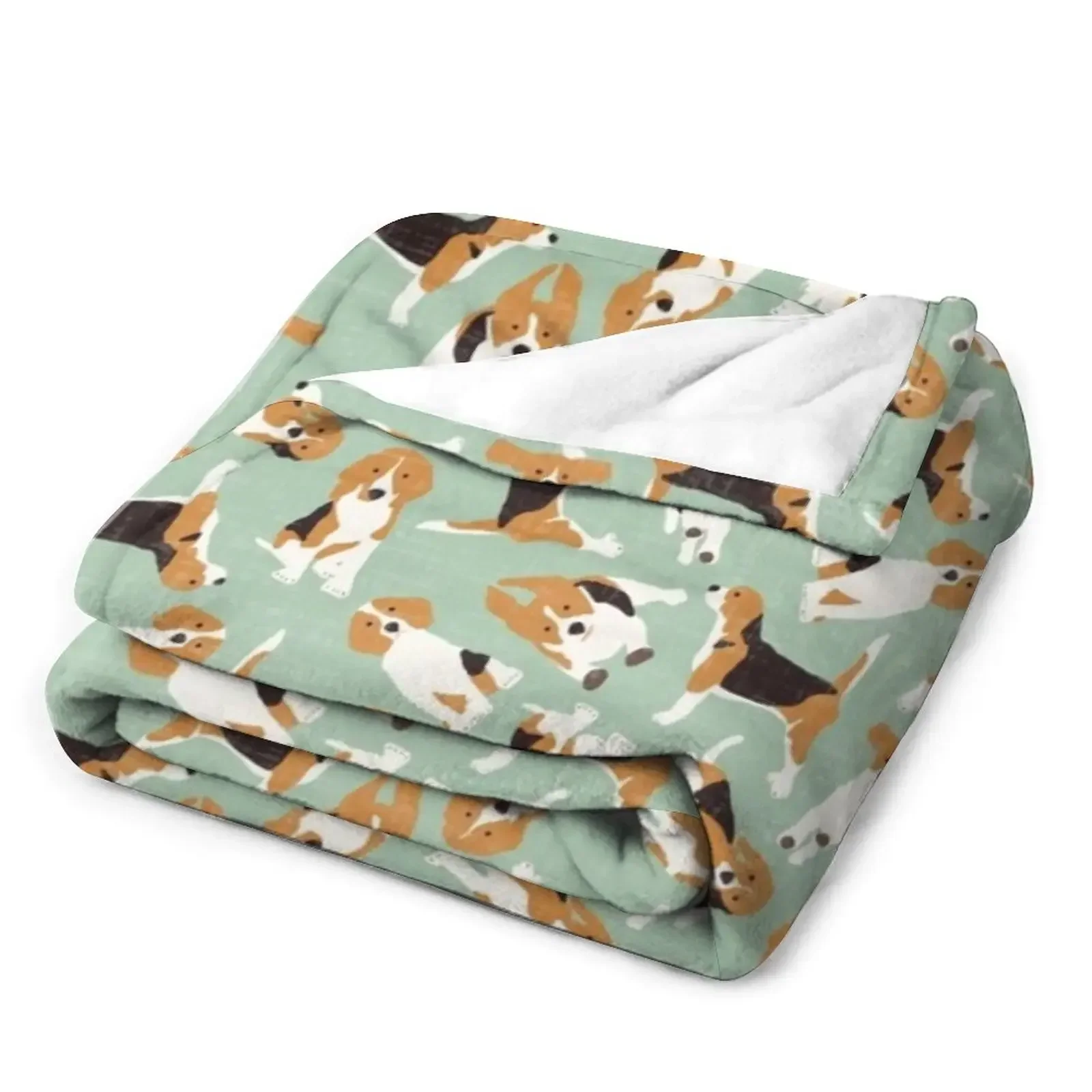 ��� ���� ��Ʈ ������ ���, ���� ħ��, �Ƹ��ٿ� �� ���