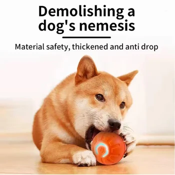 Automatic Moving Pet Ball 1