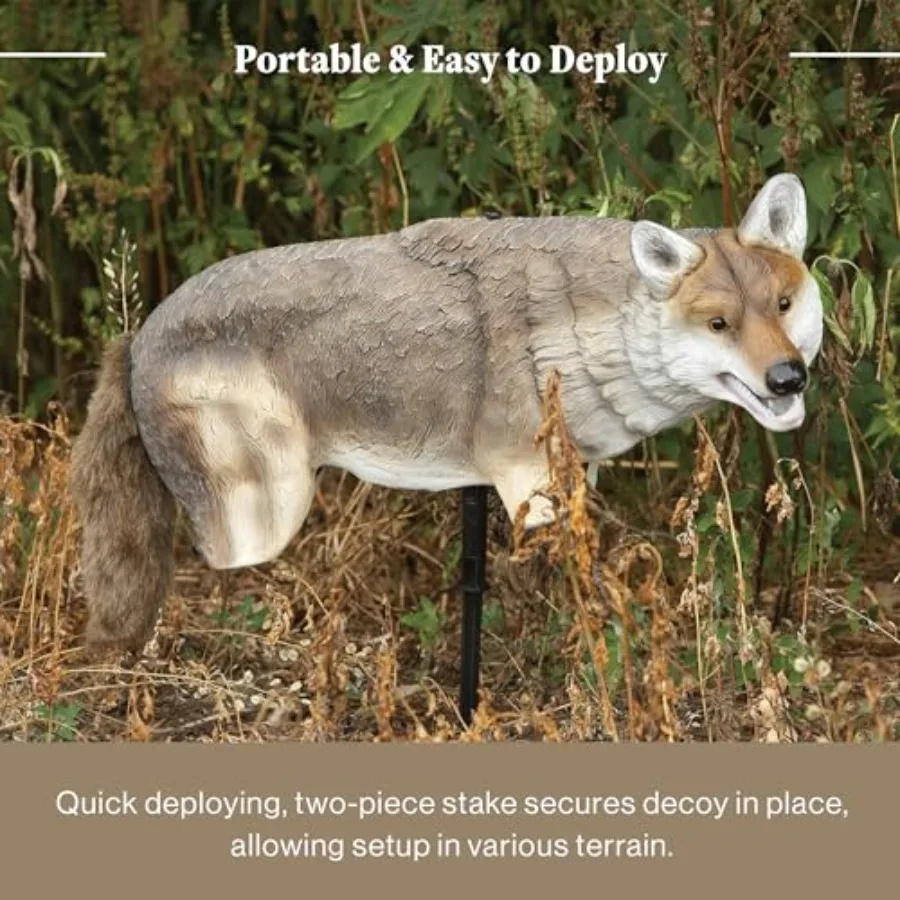 description