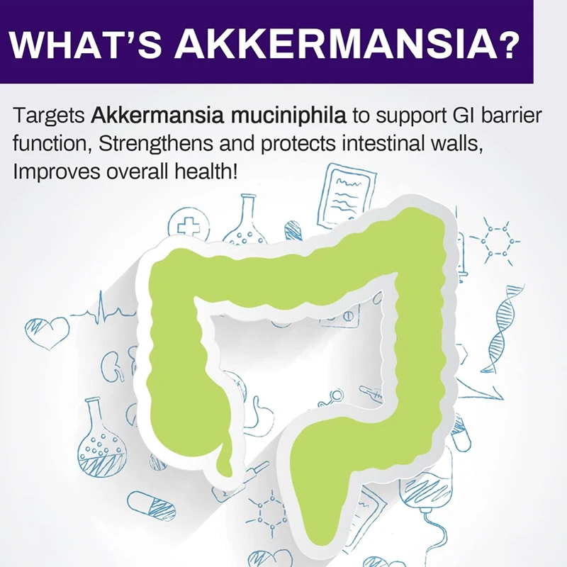 300 billion AFU Akkermansia Muciniphila live probiotic for digestion gut immunity and overall health 60 capsules probiotic capsules