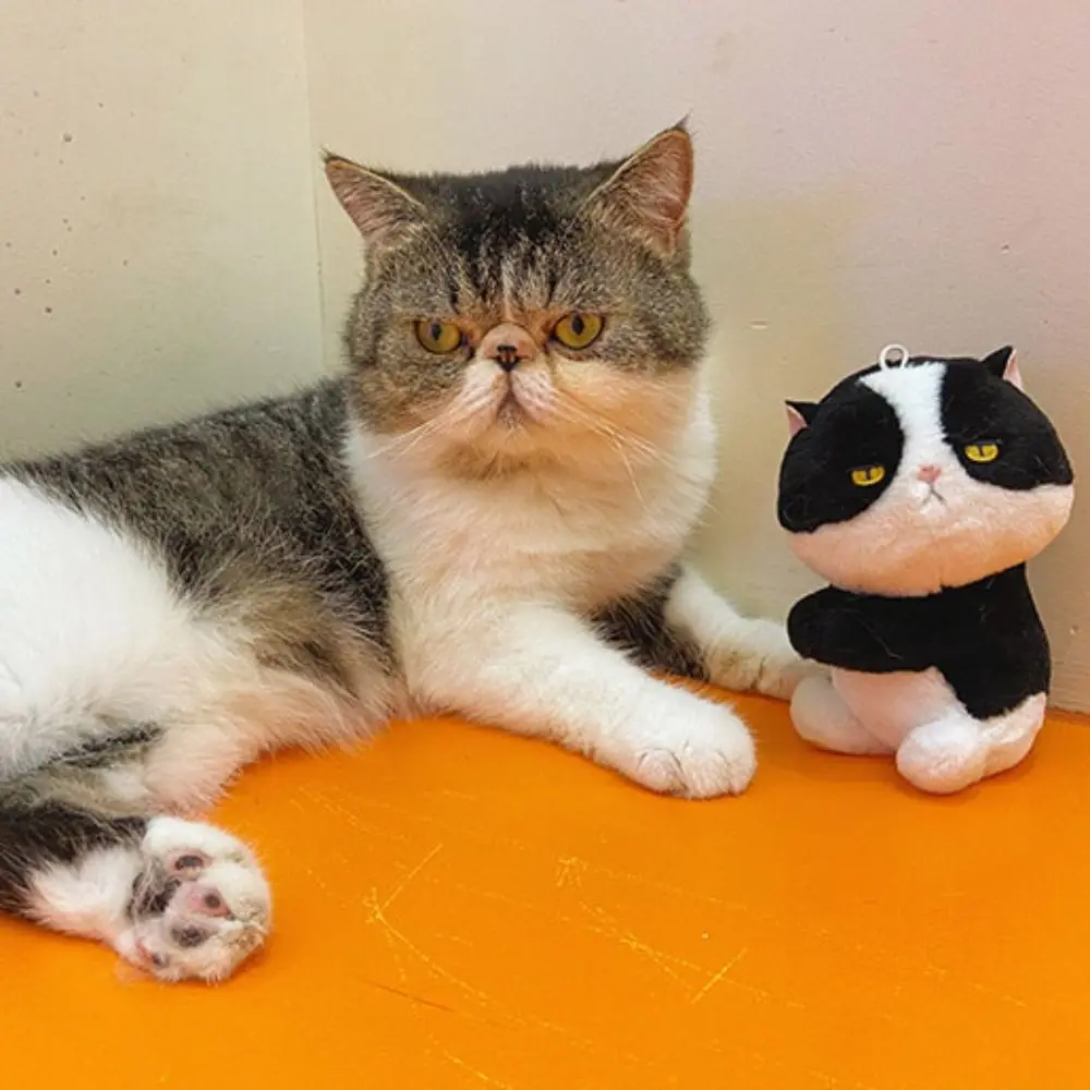 Lovely Soft Cartoon Clip Doll Stuffed Toys Animal Cat Pendant Keyring Cartoon Key Chain Birthday Gift