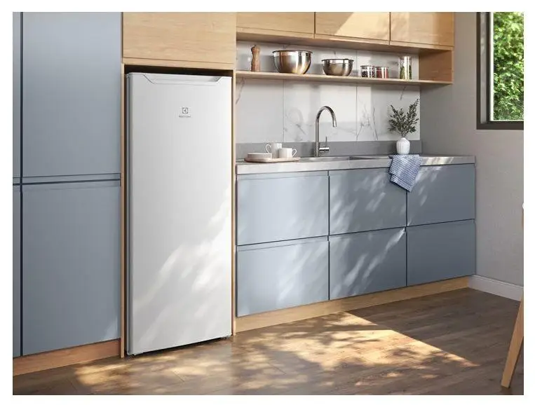 Geladeira/Refrigerador Electrolux Cycle Defrost Branco 213L RE21 - 110V 2