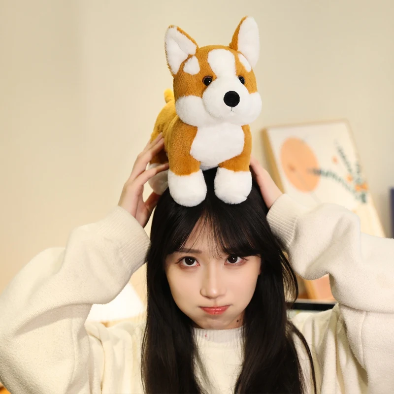 S1dff3deac9a440e3a337f3537de91fc9L - Corgi Gifts