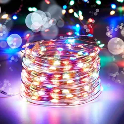 Radiant Copper Wire LED String Lights - 10M 100LED (Multicolor)