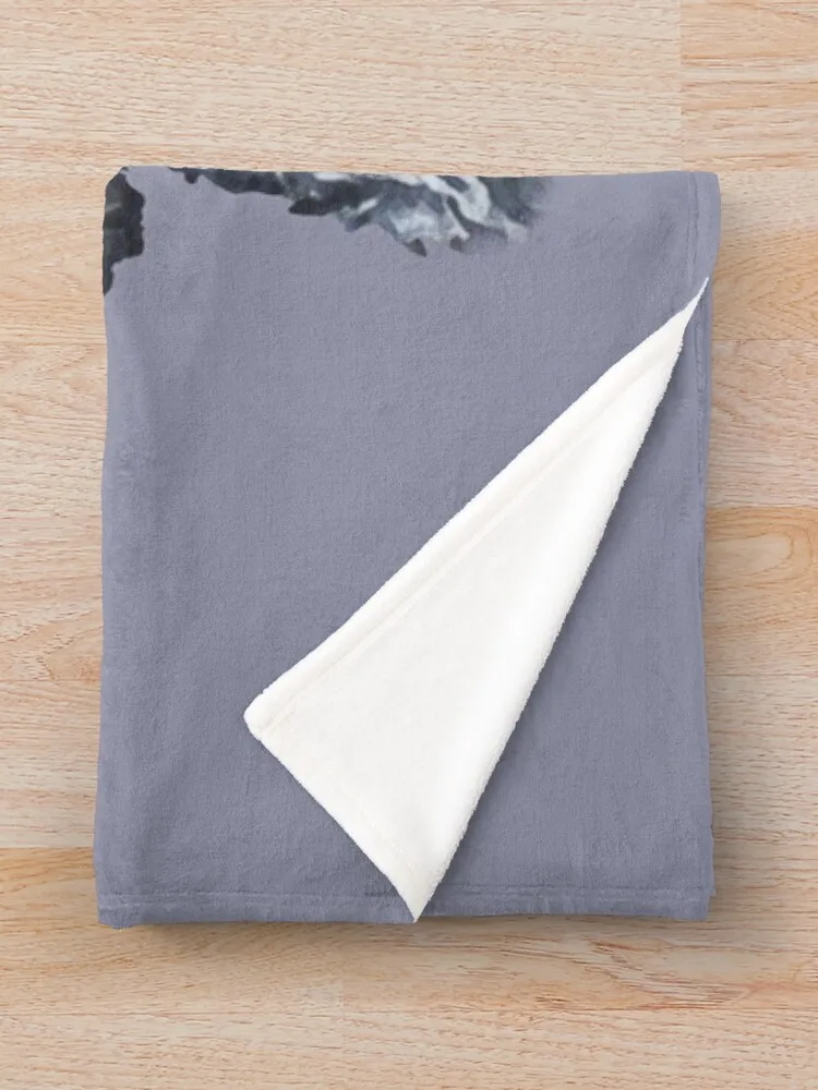 ���� ��īǪ/���� �� ������ ���, ǫ���ϰ� �ε巯�� ���� ���