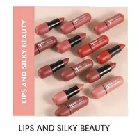 Rouge à lèvres mat 6 couleurs : coloris velours, maquillage pour les lèvres lisse, imperméable et longue durée 4