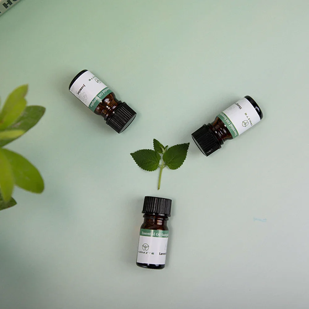 NAMSTE Diiffuser Essential Oil 5ML Aromatherapy Scent Diffuser Oil Fragrance Oil Diffuser For Home Hotel Office Air Freshener 4