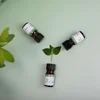 NAMSTE Diiffuser Essential Oil 5ML Aromatherapy Scent Diffuser Oil Fragrance Oil Diffuser For Home Hotel Office Air Freshener 4