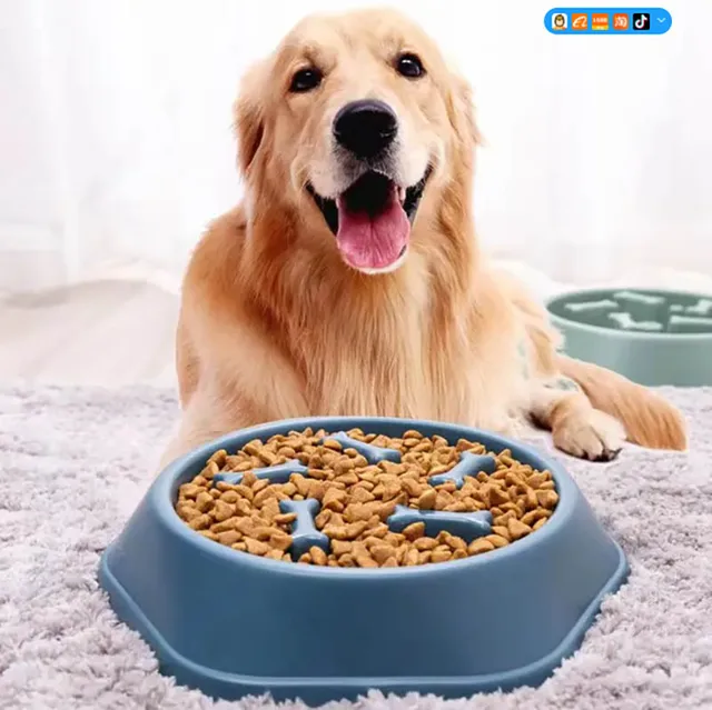 PP material dog and cat slow food bowl non-slip pet feeding bowl small dog large dog food bowl cat bowl anti-choking bowl 4