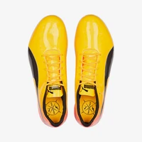 Puma véritable nouveau hommes et femmes rembourré coupe basse professionnel chaussures d'athlétisme chaussures de course 377001-01 3