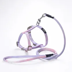 Kitten Accessories Harness and Leash Set - Premium Cat Home Supplies - M (Purple)