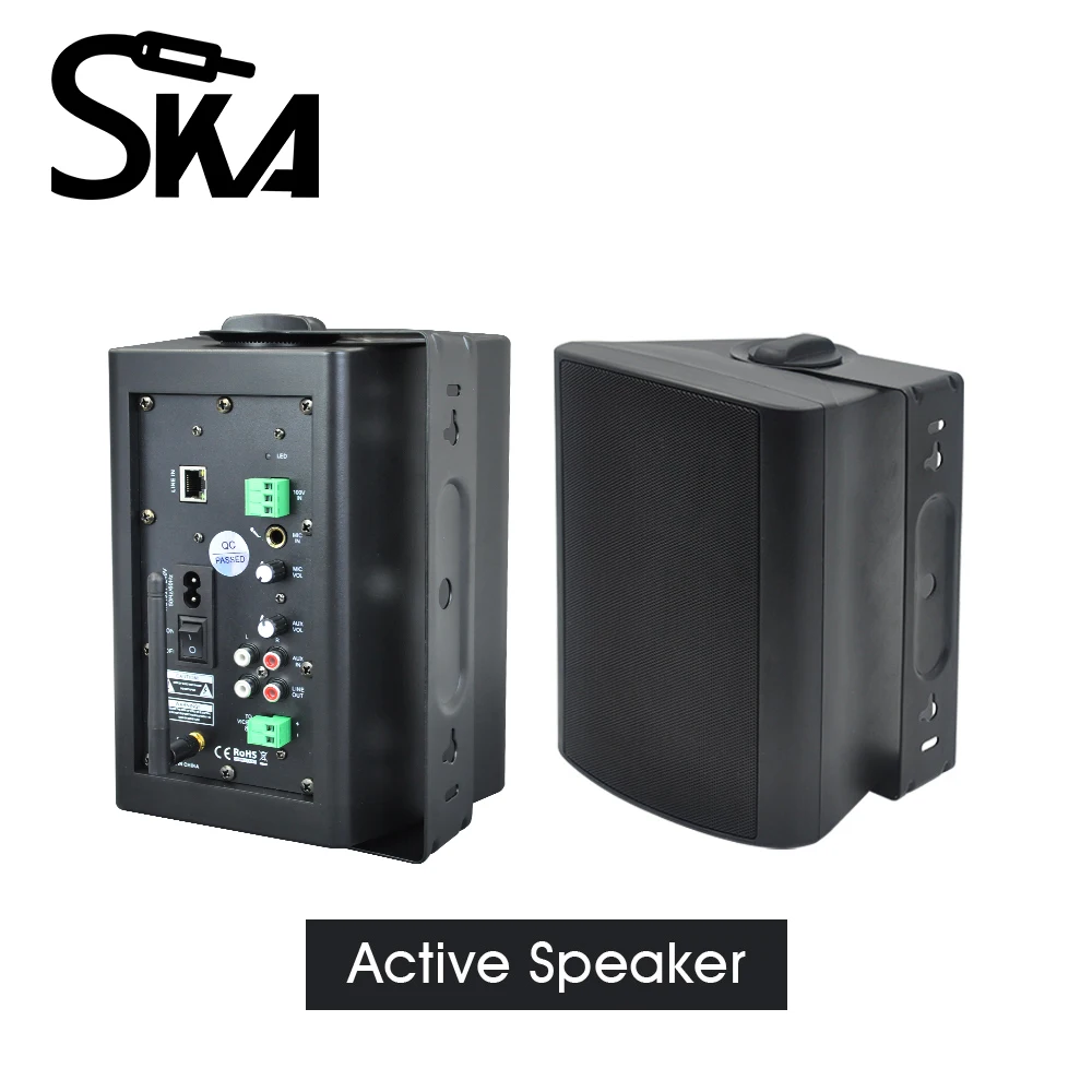 WiFi 벽걸이 스피커 박스 HiFi 서브우퍼 스테레오 3D 사운드 PA 시스템 내장 D 클래스 앰프 지원 RJ45 (학교, 영화관용)
