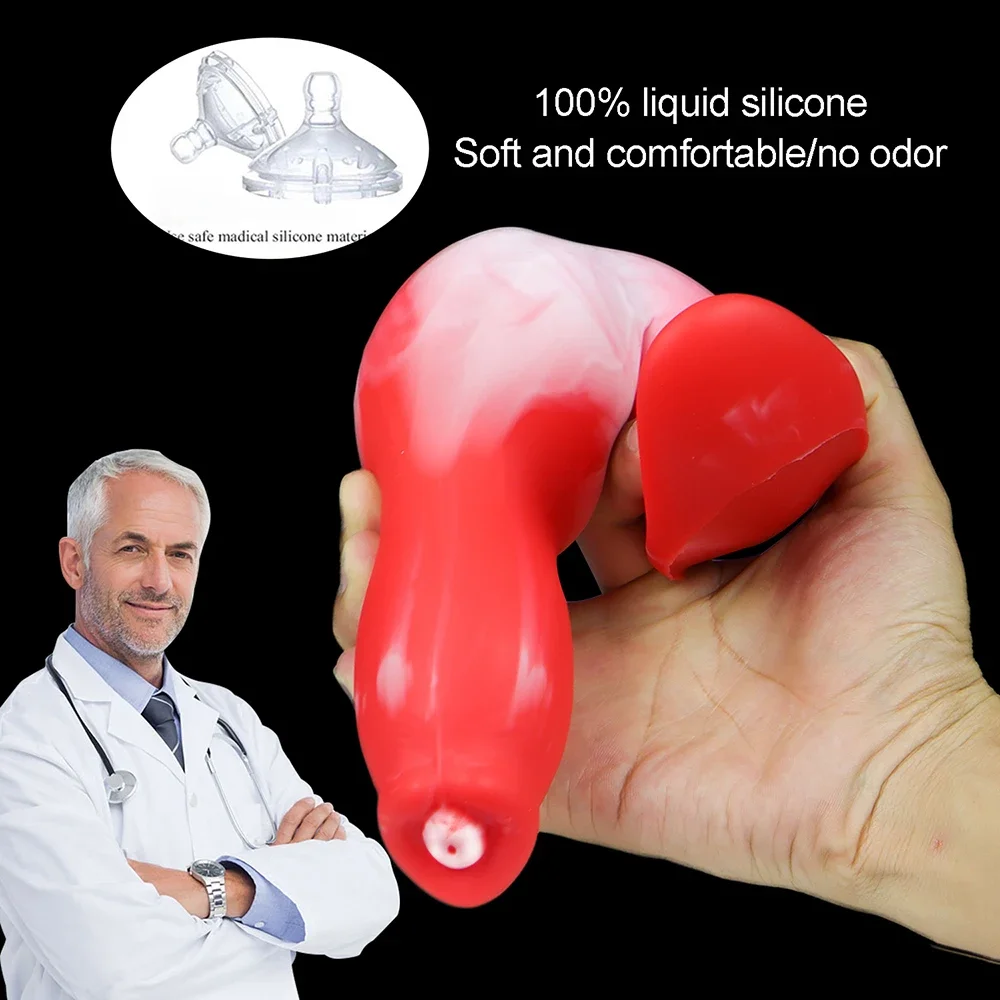 dsc-products