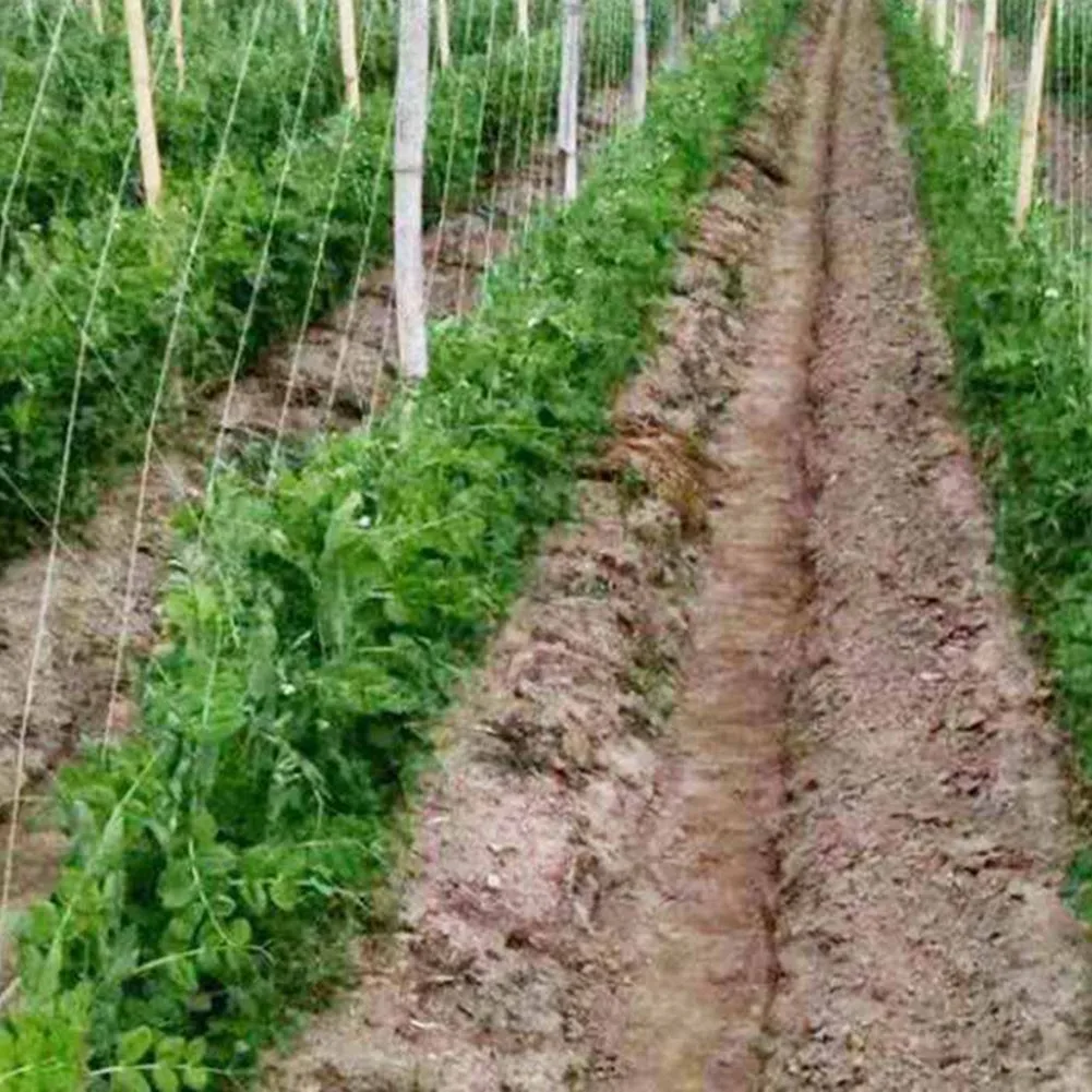 

2x100M Polythene Garden Plant Trellis Net Climbing Net Heavy-Duty Vegetable Plant Support Vine Net Anti-bird Net