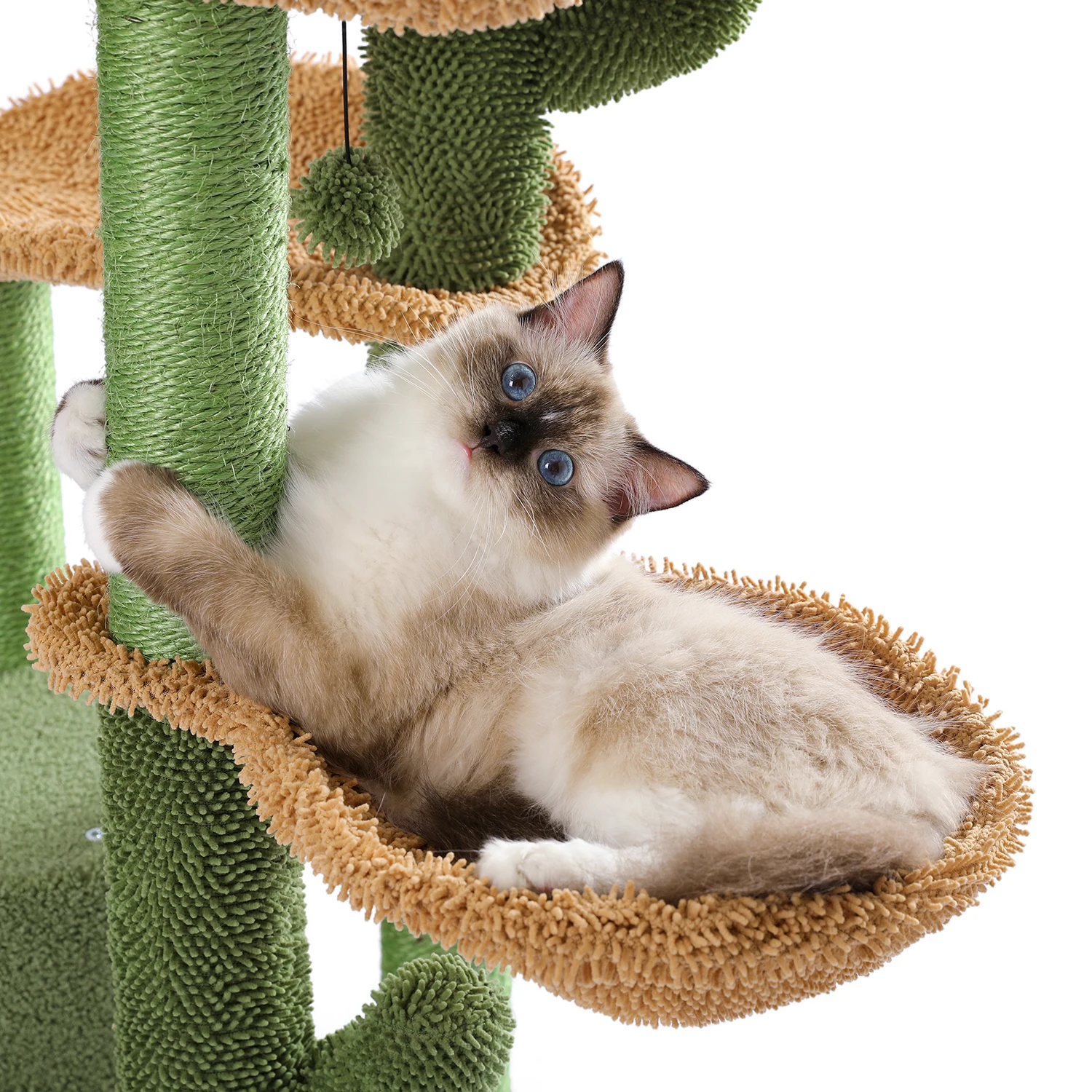 S1e10b7d64f624a0e96856640f6ac093fZ