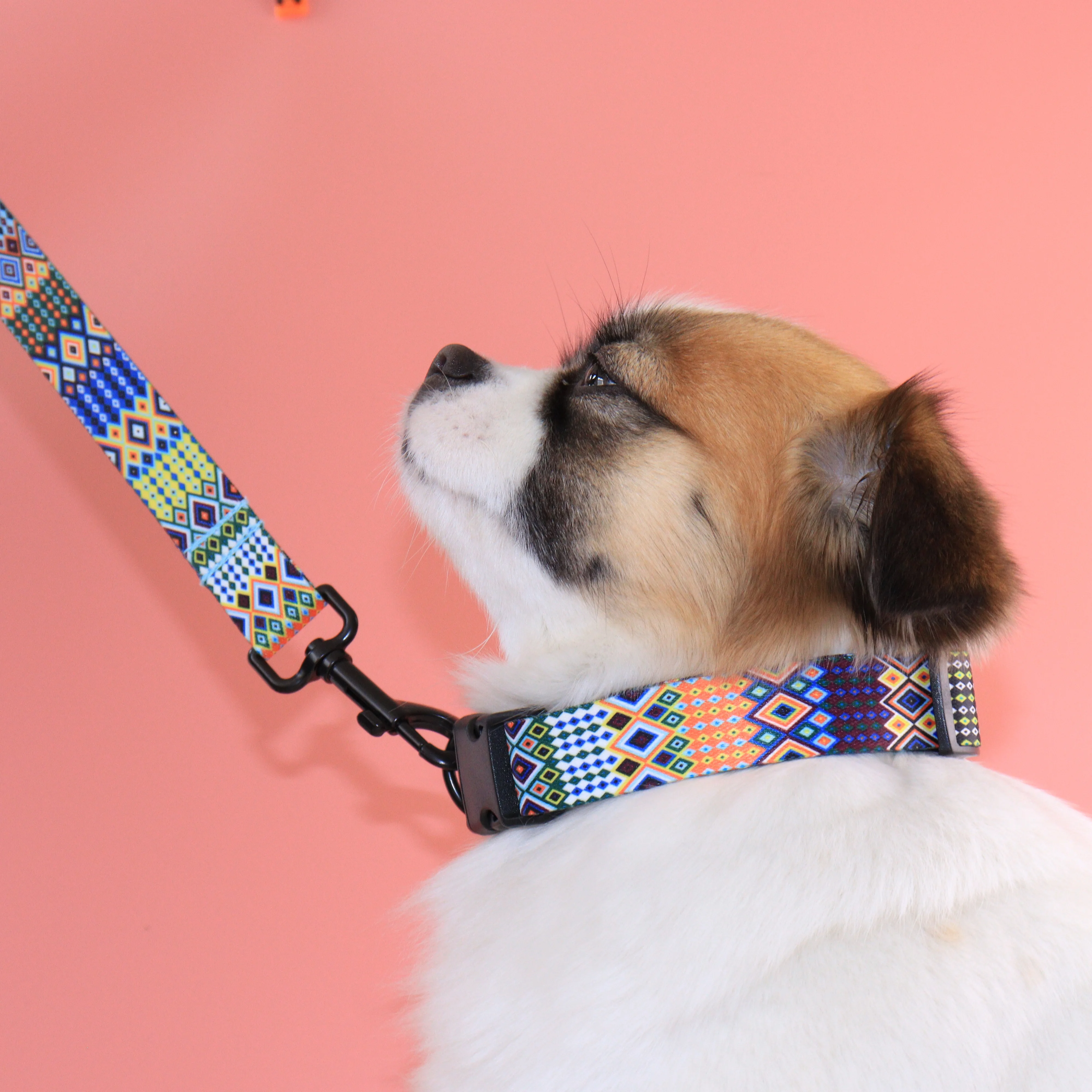 Personalized Stylish Ethnic Pet Collar Nylon Printed Dog Collar Leash Set Adjustable Free Engraved ID for Small Medium Large Dog dog collar pet harness leash set pet harness set pet leash set