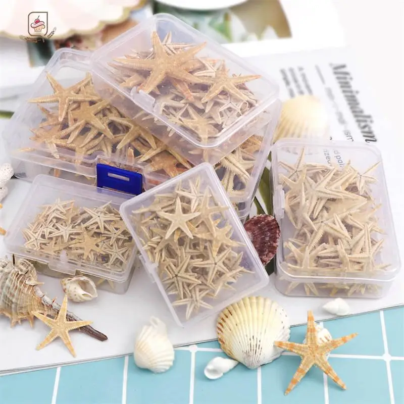 1Box/1pc Round Square Natural Starfish Seashell Beach Craft DIY Beach Wedding Decoration Crafts Home Decor