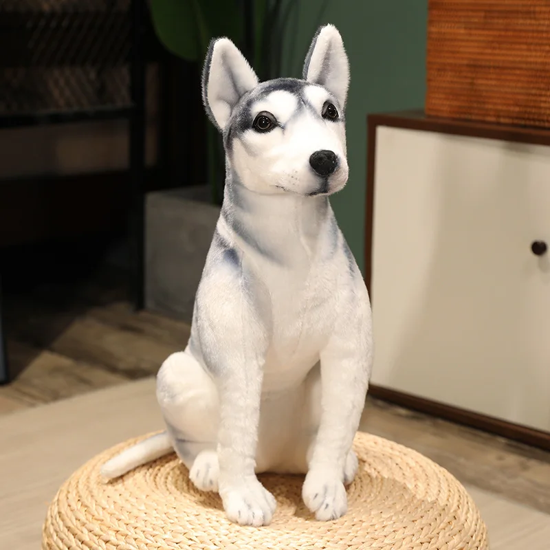 https://ae01.alicdn.com/kf/S1e139fc8704a496cb402672c0d585006g/30-90cm-Lifelike-Giant-Dog-Toy-Realistic-Stuffed-Animals-Husky-Dog-Plush-Toys-Gift-For-Children.jpg