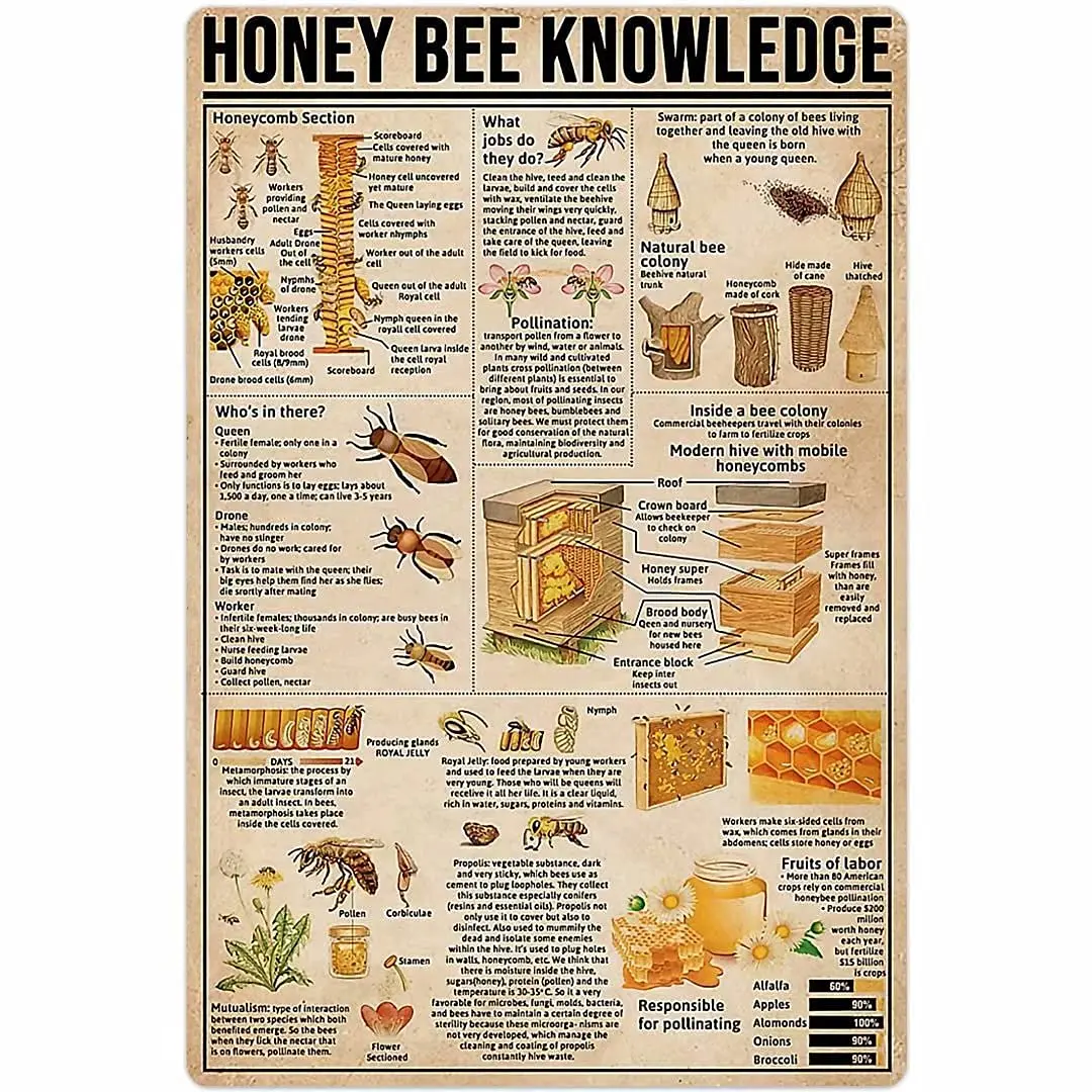 

PPFINE Honey Bee Anatomy Knowledge Metal Tin Sign Honey Bee Retro Poster Wall Art Deco Farm Home Kitchen Club Plaque 8x12 Inches