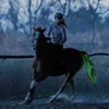 100 CM Long Rechargable LED Horse Riding Tails Decoration Luminous Tubes Horses Riding Equestrian Saddle Halters Horse Care Prod 2
