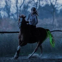 100 CM Long Rechargable LED Horse Riding Tails Decoration Luminous Tubes Horses Riding Equestrian Saddle Halters Horse Care Prod 2