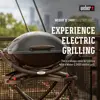 2400 Electric Grill , Grey 3