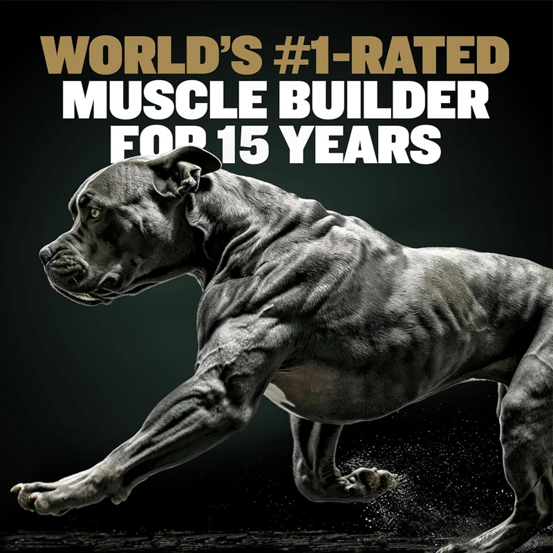 BULLY MAX PRO Power Chews For Dogs, Increase Strength Muscle-building Weight Gain, Skin, Coat 11-in-1 Performance Health Support
