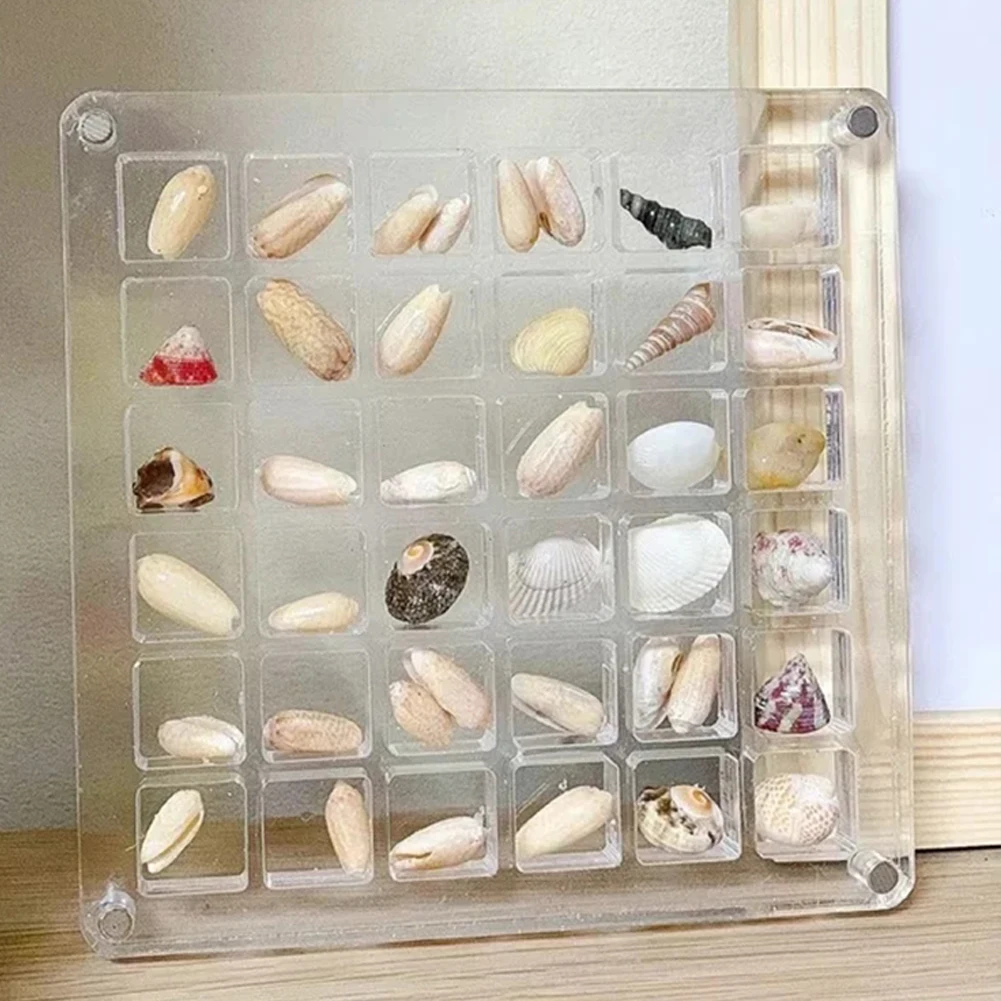 아크릴 마그네틱 조개 디스플레이 박스, 장식 36/64 그리드 조개 보관 상자, 바위 수집 상자, 구슬 네일 쥬얼리