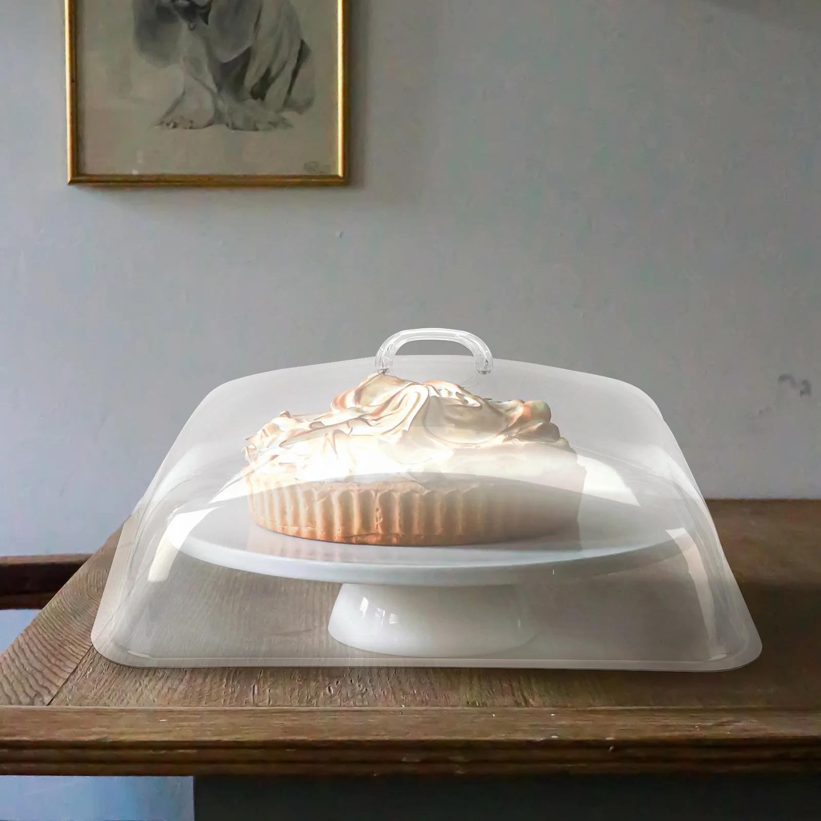 

Transparent Food Cover Professional Dish Lid Pan Fresh-keeping Tray Plate Cake Cheese