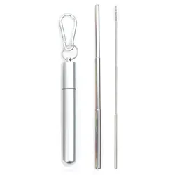 Eco - Friendly Reusable Telescopic Metal Straw Set with Cleaning Brush and Portable Travel Case (E)