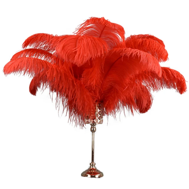 Piume di struzzo rosse per la decorazione 15-70cm oggetti artigianali di  piume di struzzo grandi accessori da sposa per vacanze fai-da-te materiali