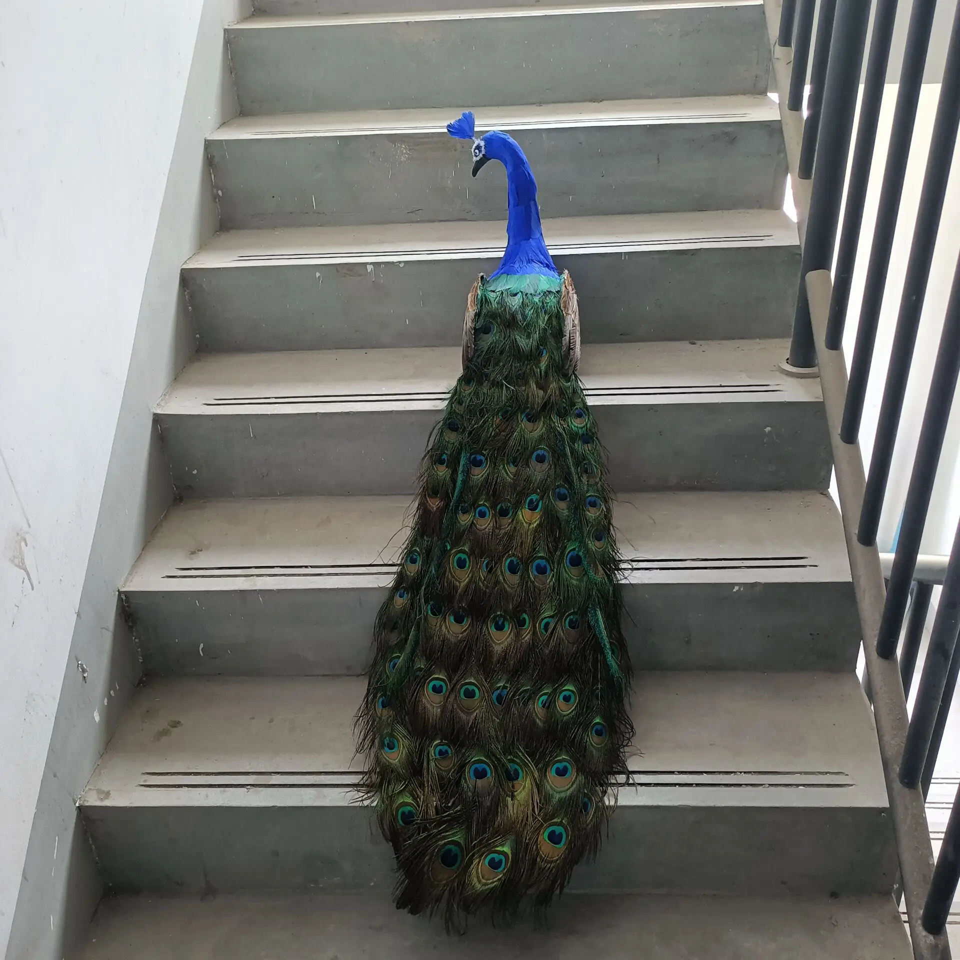 

long tail simulation beautiful peacock model foam&feather big colorful peacock bird gift about 120cm c2786