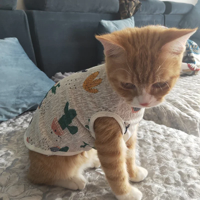 Sunscreen Clothes for Cats Summer Pet Vest Cute Print Cat Puppy Clothing Ultra-thin Breathable Kitten Pullover Ropa Para Gatos