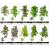 1pcs Home decoration with suction cup, simulation plant reptile box decoration, landscape viewing, aquarium 2