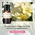 Freesia