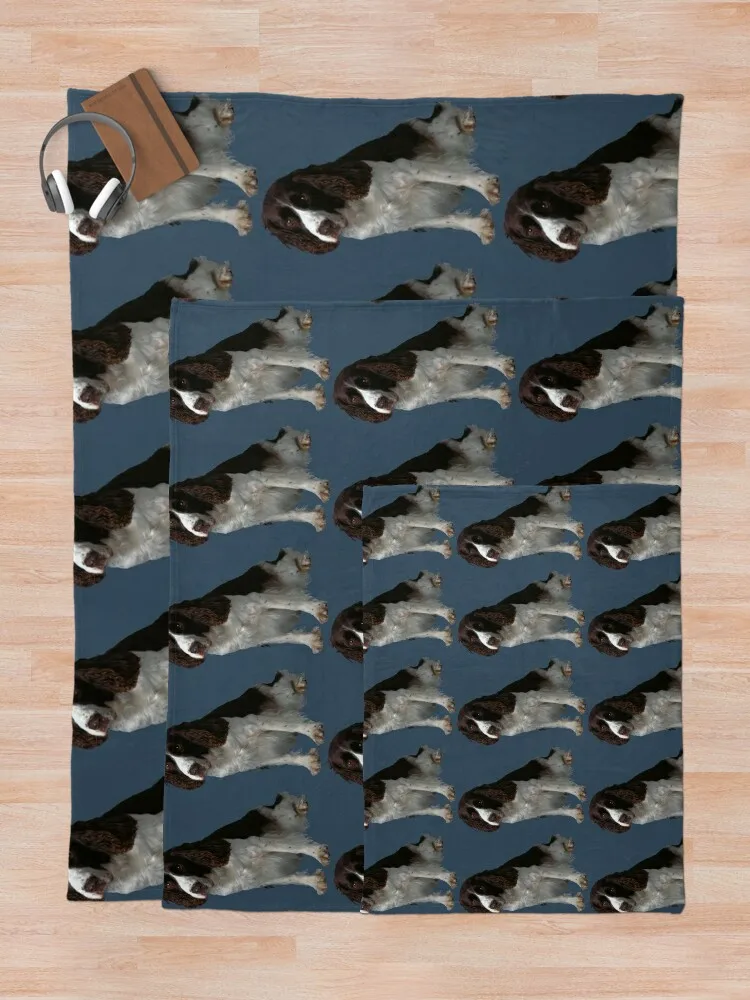 Spaniel Ingles, �� �ٺ� ������ ���, ���� ���� ��� ħ�� ���, ���Ÿ� ����Ʈ ���, ���� ���