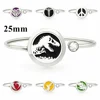 Turtle 25mm 316L Stainless Steel Aromatherapy Locket Bracelet Bangle Oil Diffuser Perfume Locket Bracelet Jewelry Free 10pads 1