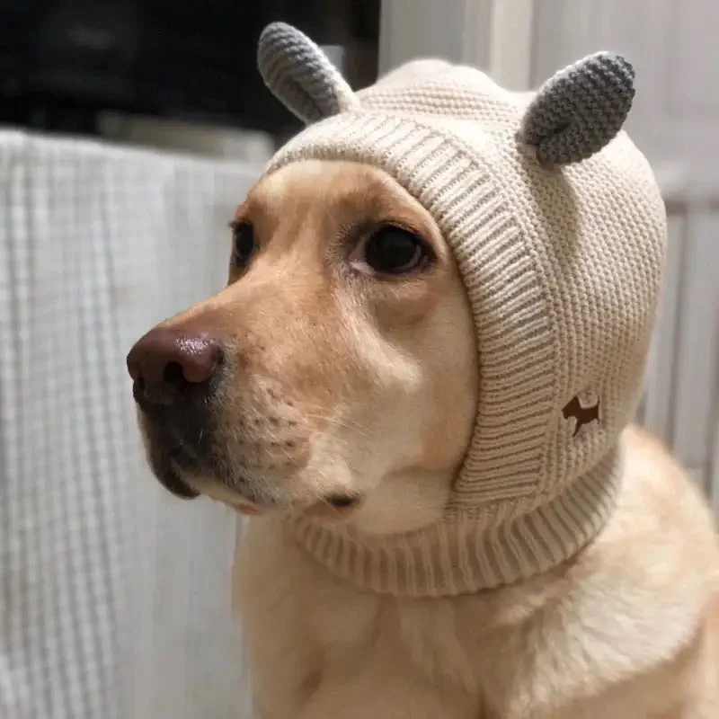 Labrador Retriever Beanie Hat - Dog Lovers Gifts For Women