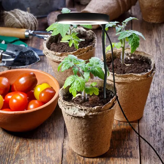 Teljes Spektrum Grow Light 4 Fényképesség Módok Usb Plant Lighting 360 Hosszú Nyakú Fej Világítókészülékek 4/8/12 Órás Időzítés Funkció - Image 2