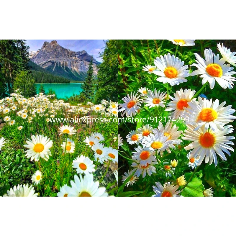 

ROAMILY,Diamond Painting Landscape,Nice,5D Cross Stitch Diamond Embroidery,Flowers Nature Chrysanthemum,Sale,Cheap Wall