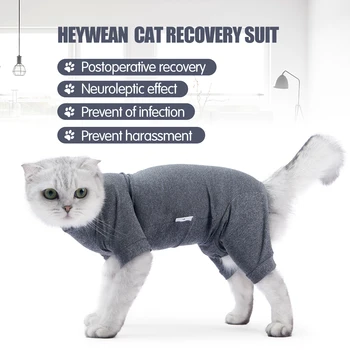 Cat Post-Surgery Recovery Suit 1
