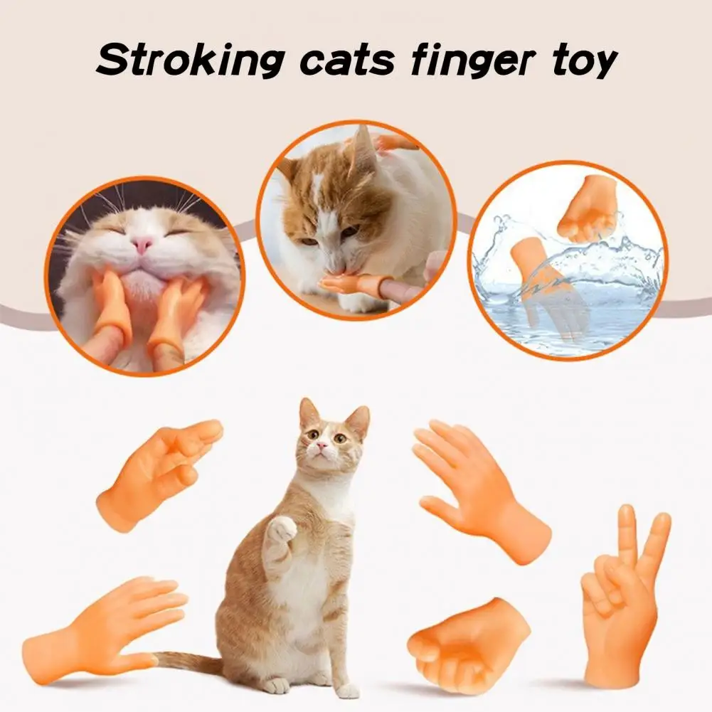 Giocattolo Per Gatti Smalto Giocattolo Per Gatti Set Di Giocattoli Per Le Dita Per Gatti Mani Piccole Massaggio Per Gatti Realistico Mini Modello Di D