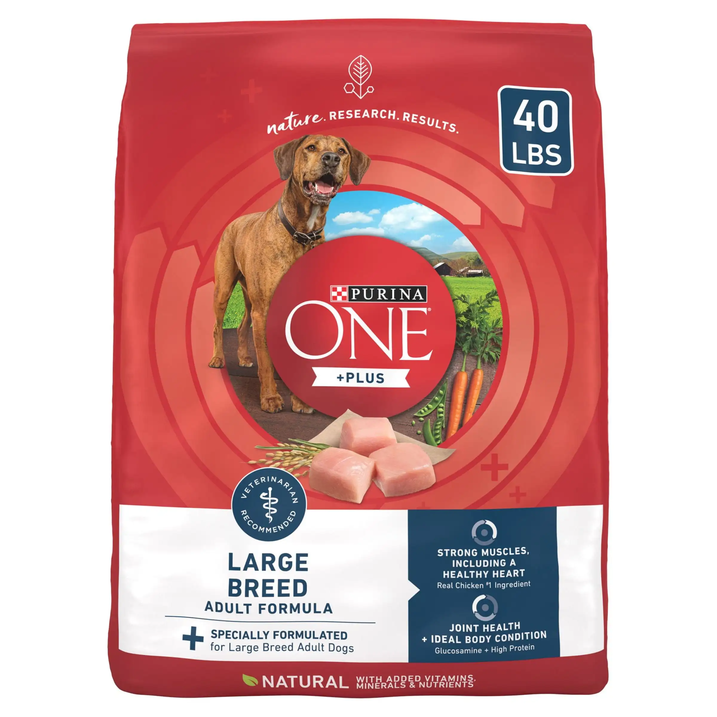 

Dry Large Breed Dog Food for Adult Dogs, Real Protein Rich Natural Chicken Flavor, 40lb Bag