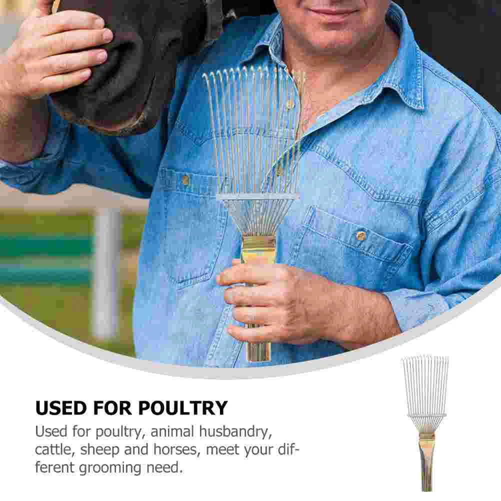 Рисунок 3 - Щетка из конской шерсти для домашних