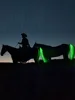 100 CM Long Rechargable LED Horse Riding Tails Decoration Luminous Tubes Horses Riding Equestrian Saddle Halters Horse Care Prod 1