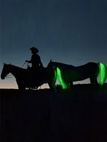 100 CM Long Rechargable LED Horse Riding Tails Decoration Luminous Tubes Horses Riding Equestrian Saddle Halters Horse Care Prod 1
