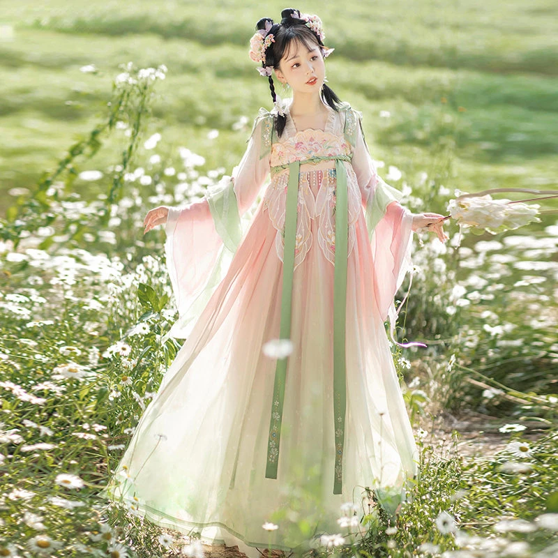 Chinese Style Hanfu Dress Set Women Traditional Elegant Flower Embroidery Fairy Dance Stage Costumes Female Retro Princess Robe