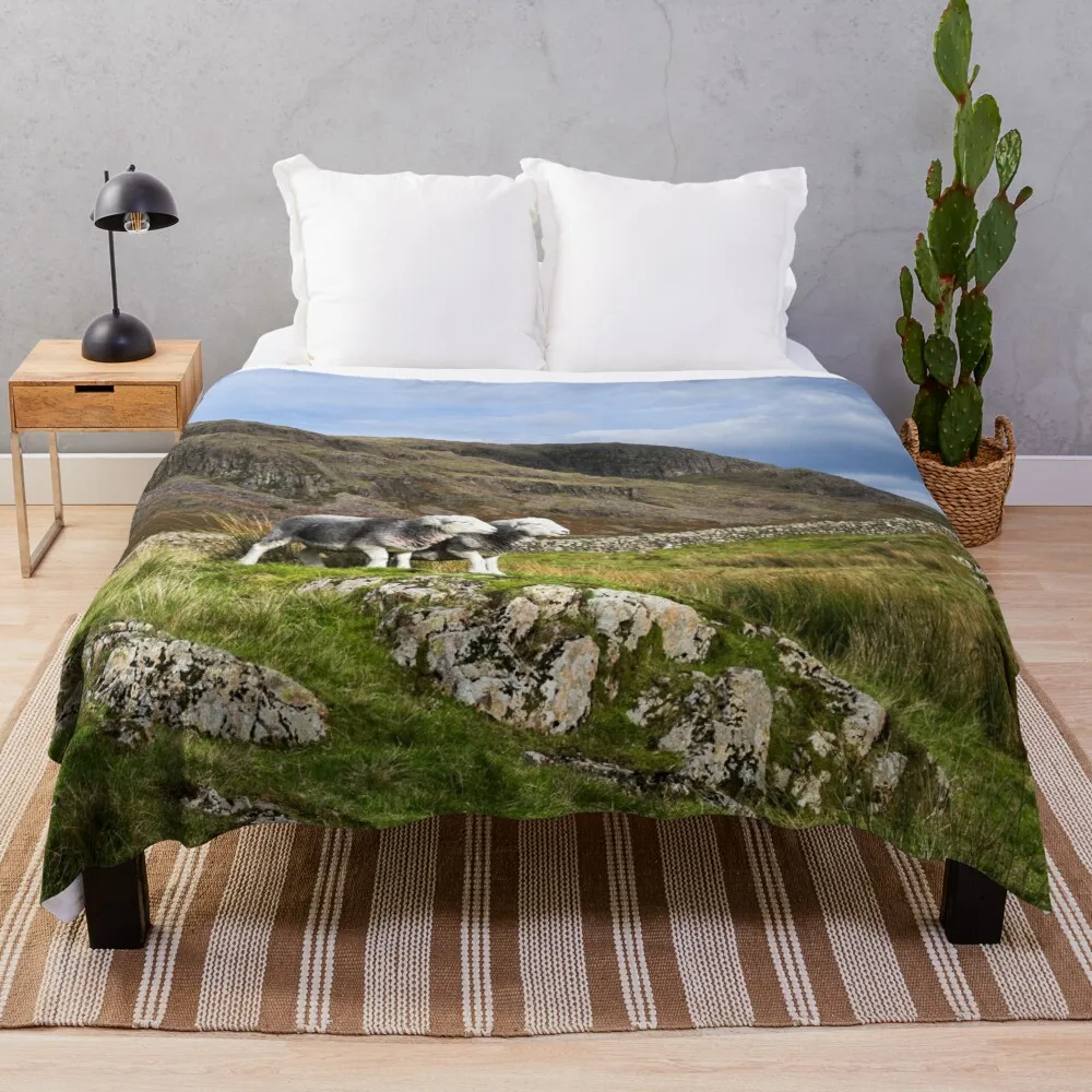 

Одеяло для кровати Herdwick, овца в озере